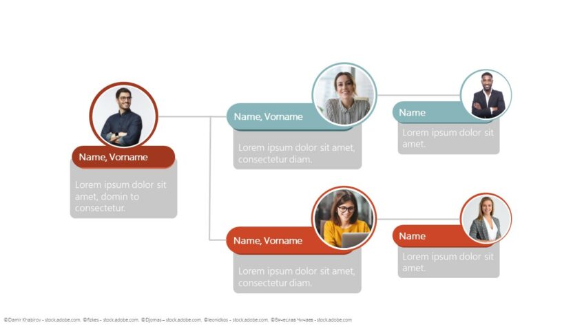 Organigramm mit horizontaler Hierarchie